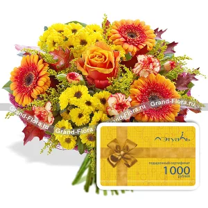 Вальдивия + Вальдивия +