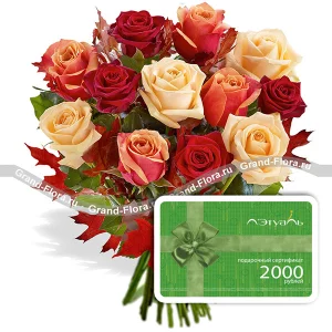 Чарующая осень + сертификат 2000 Чарующая осень + сертификат 2000